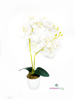 Maceta con Orquídea 10x45 cm - tienda online