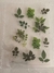 hoja sticker de flores para resina 15x10 - comprar online