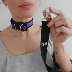 choker pet + correa - comprar online