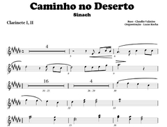 Caminho No Deserto Cifra, PDF, Evangelhos canônicos