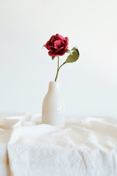 Rosa Tupida - by florecer