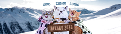 Banner da categoria  Inverno 2023 - Kiko, Zinho, Lindo