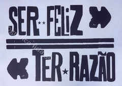 Ser Feliz Ter Razão 42x30