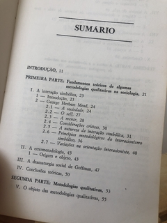 Metodologias Qualitativas na Sociologia - Teresa Maria Frota Haguette - Sebo Apanhador de Livros