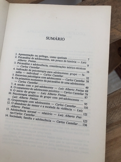 Crise da Adolescência - Carlos Castellar e Luiz Alberto de Freitas - Sebo Apanhador de Livros