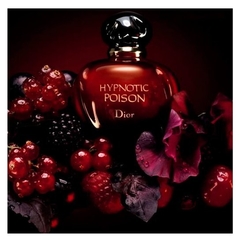 Hypnotic Poison Dior Eau de Toilette - Day Imports