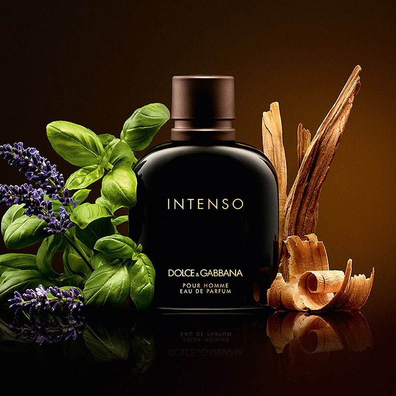 Dolce gabbana pour homme intenso outlet