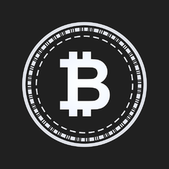 bitcoin camiseta