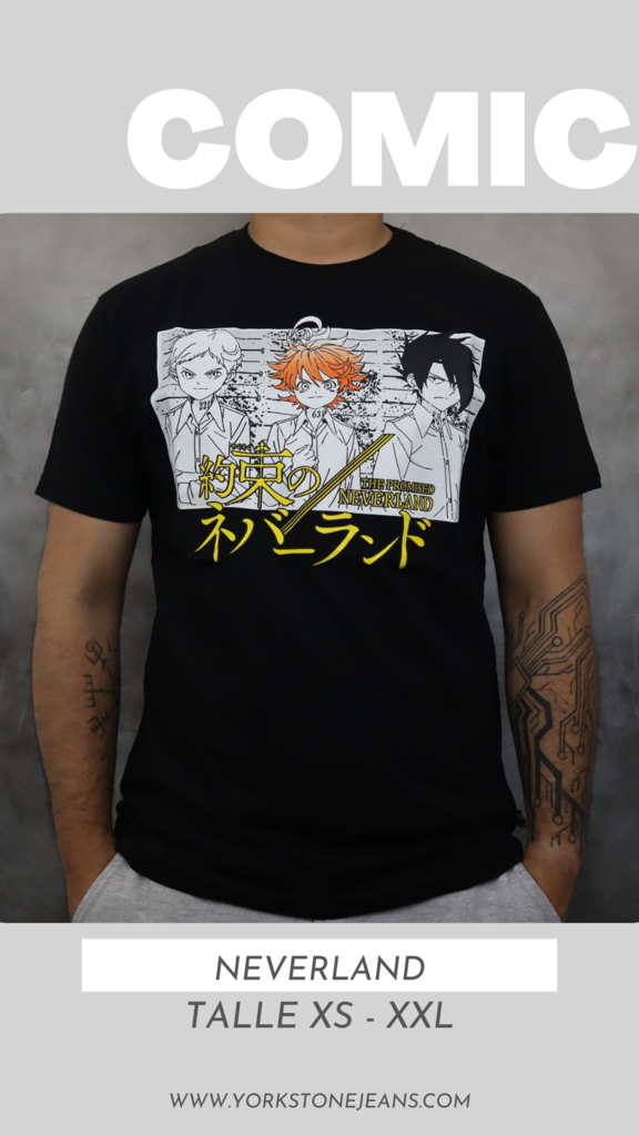 Remera de anime para chicos