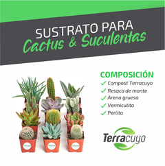 SUSTRATO ESPECIAL PARA CACTUS Y SUCULENTAS