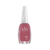 Esmalte Uñas Maybelline Colorama x 8 ml. - Glamorama Beauty Store