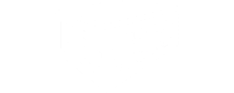 Fire Store