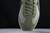 Imagem do Onitsuka Tiger SD Shoes Green