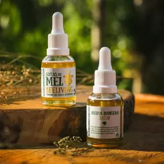 Mel de Jataí (gotas 40g) - Beeliving | Produtos das Abelhas Nativas Sem Ferrão | Mel, Própolis, Pólen, Sabonetes Naturais...