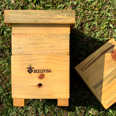 caixa-abelha-jataí