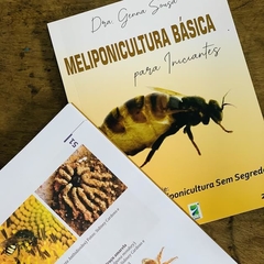 livro-abelha-meliponicultura