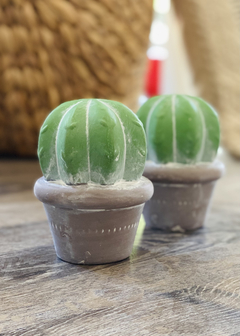 Cactus de cerámica chico