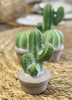 cactus de ceramica