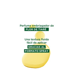 Klorane Aceite Capilar Con Protección Solar x 100 ml - Farmacia Manes