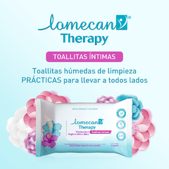 Lomecan Therapy Toallitas íntimas Húmedas De Limpieza X 10 Unidades -  Farmacia Leloir - Tu farmacia online las 24hs