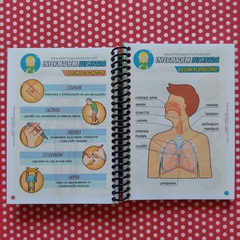 Kit 3 Cadernos Enfermagem Ilustrada na internet