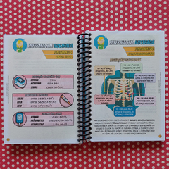 Manual De Estágio + Principais Medicamentos Utilizados Em Uti - Enfermagem Ilustrada