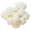 APLIQUE POMPOM MALHA TELINHA BRANCO (2,5 CM) - 05 UNIDADES