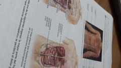 Tortora - Anatomía y Fisiología - 13º edición - comprar online