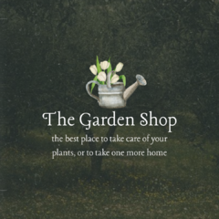 Vela The Garden Shop - comprar online