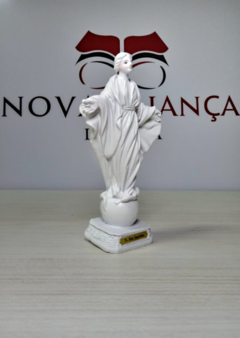 Nossa Senhora do Sorriso 12 cm branca - comprar online