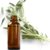 Aceite Esencial de Salvia Sclaria 10 ml en internet