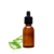 Extracto Glicólico de Aloe Vera 100 ml en internet