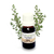 Aceite Esencial de Mirra 10 ml - comprar online