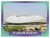 Qatar, 2022 - Estádios e Bola na internet