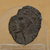 AE Antoninianus de Aureliano