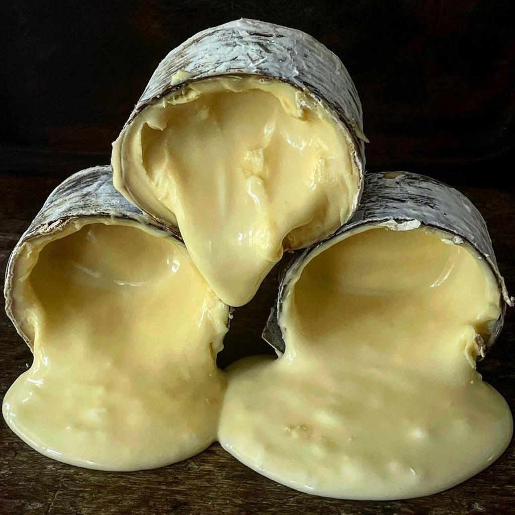 Queijo Gorgonzola de Colher Serra das Antas