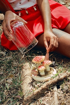 Redoma cogumelos Amanita Muscaria G