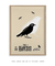 Quadro Decorativo The Bird Bêge - Alfred Hitchcock´s - comprar online