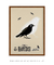 Imagem do Quadro Decorativo The Bird Bêge - Alfred Hitchcock´s