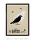 Quadro Decorativo The Bird Bêge - Alfred Hitchcock´s