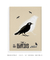 Imagem do Quadro Decorativo The Bird Bêge - Alfred Hitchcock´s