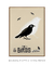 Quadro Decorativo The Bird Bêge - Alfred Hitchcock´s na internet