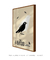 Quadro Decorativo The Bird Bêge - Alfred Hitchcock´s - loja online