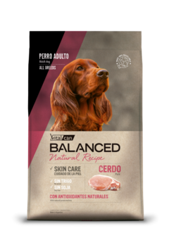 Vitalcan Balanced Natural Recipe Cerdo 15kg