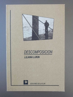 Descomposición - Liliana Lukin