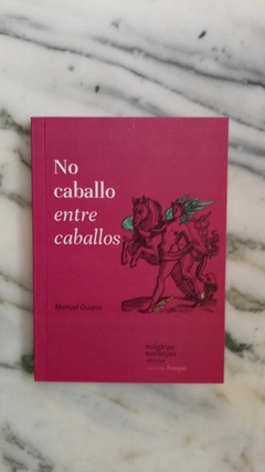 No caballo entre caballos - Manuel Duarte