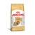 Ração Royal Canin Shih Tzu para Cães Adultos 1kg