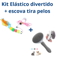 Kit Elástico divertido + escova tira pelos - comprar online