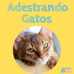 Livro digital adestramento de Gatos - BRINDE