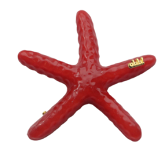 Imagem do Hair Clip Estrela do Mar